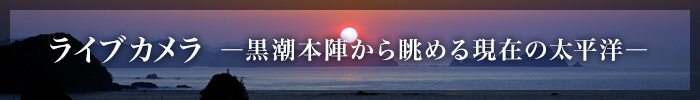 ライブカメラ,-黒潮本陣から眺める太平洋-