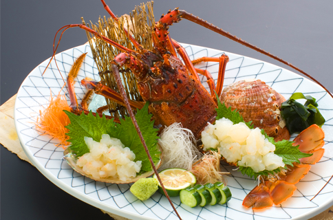 Iseibi (Ise lobster)